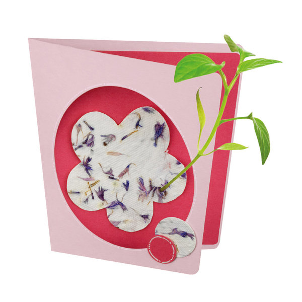 Blühendes Papier - Lass Blumen aus deinem selbstgeschöpften Papier wachsen