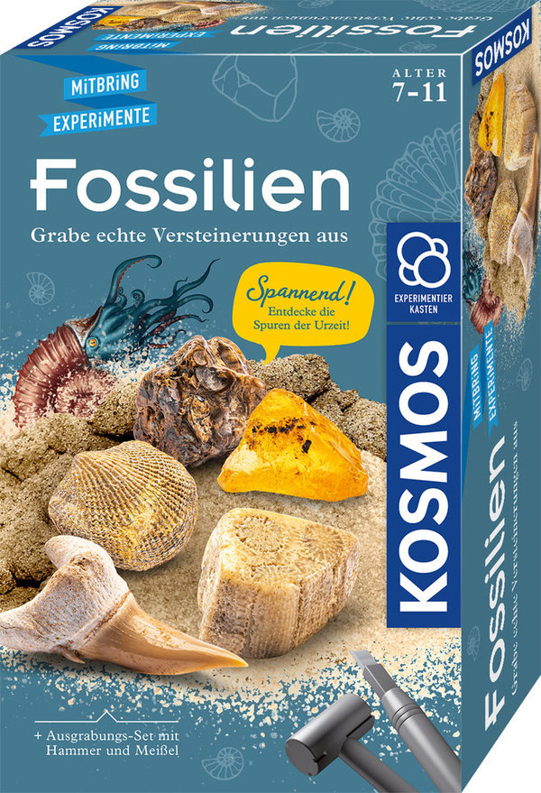 Fossilien - Mitbringexperimente