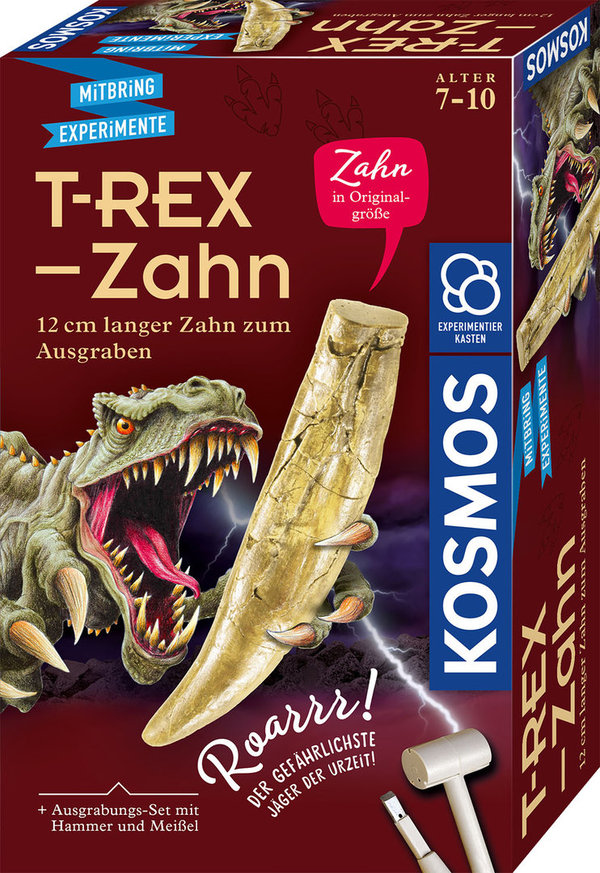 T-Rex - Zahn - Mitbringexperimente