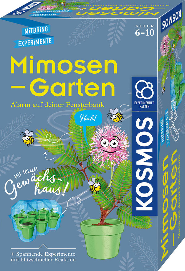 Mimosen-Garten - Mitbringexperimente