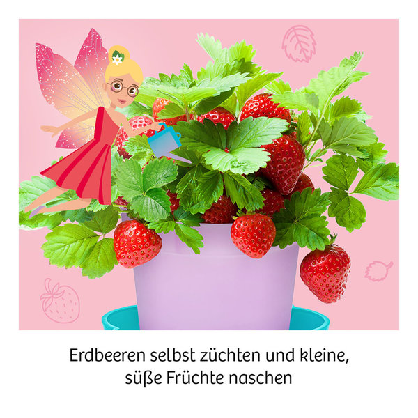 Feen-Erdbeeren - Mitbringexperimente
